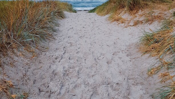 Ein sandiger Pfad führt zum Meer, begleitet von Dünen an beiden Seiten.