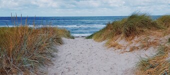 Perfect for family reunions & workshops: luxurious manor house near the beach