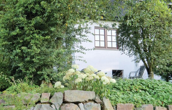 Property grounds - 1 bedroom cozy apartment in Schönecken (Schönecken)