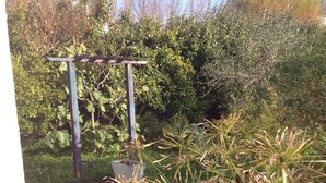 A garden with various plants and a pergola structure. - Asian pavilion one minute from the beach (Loctudy)