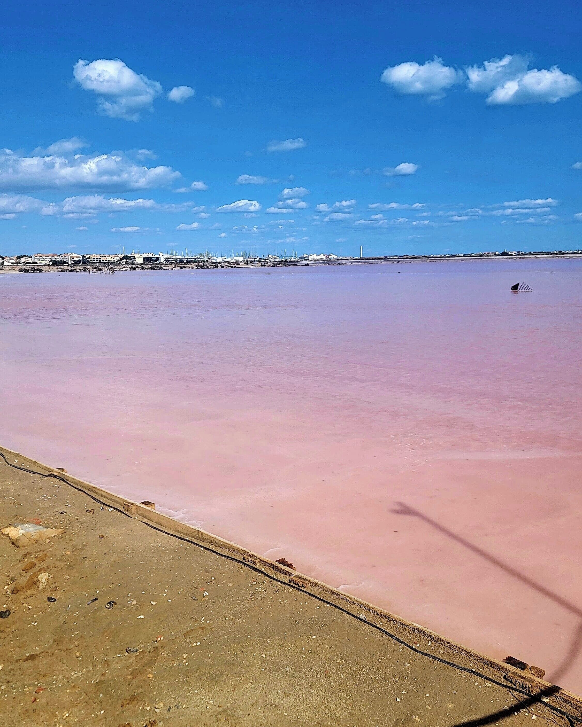 Ein Strand mit einem rosa gefärbten Gewässer, blauem Himmel und Gebäuden in der Ferne.
