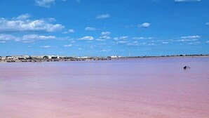 Ein Strand mit einem rosa gefärbten Gewässer, blauem Himmel und Gebäuden in der Ferne.
