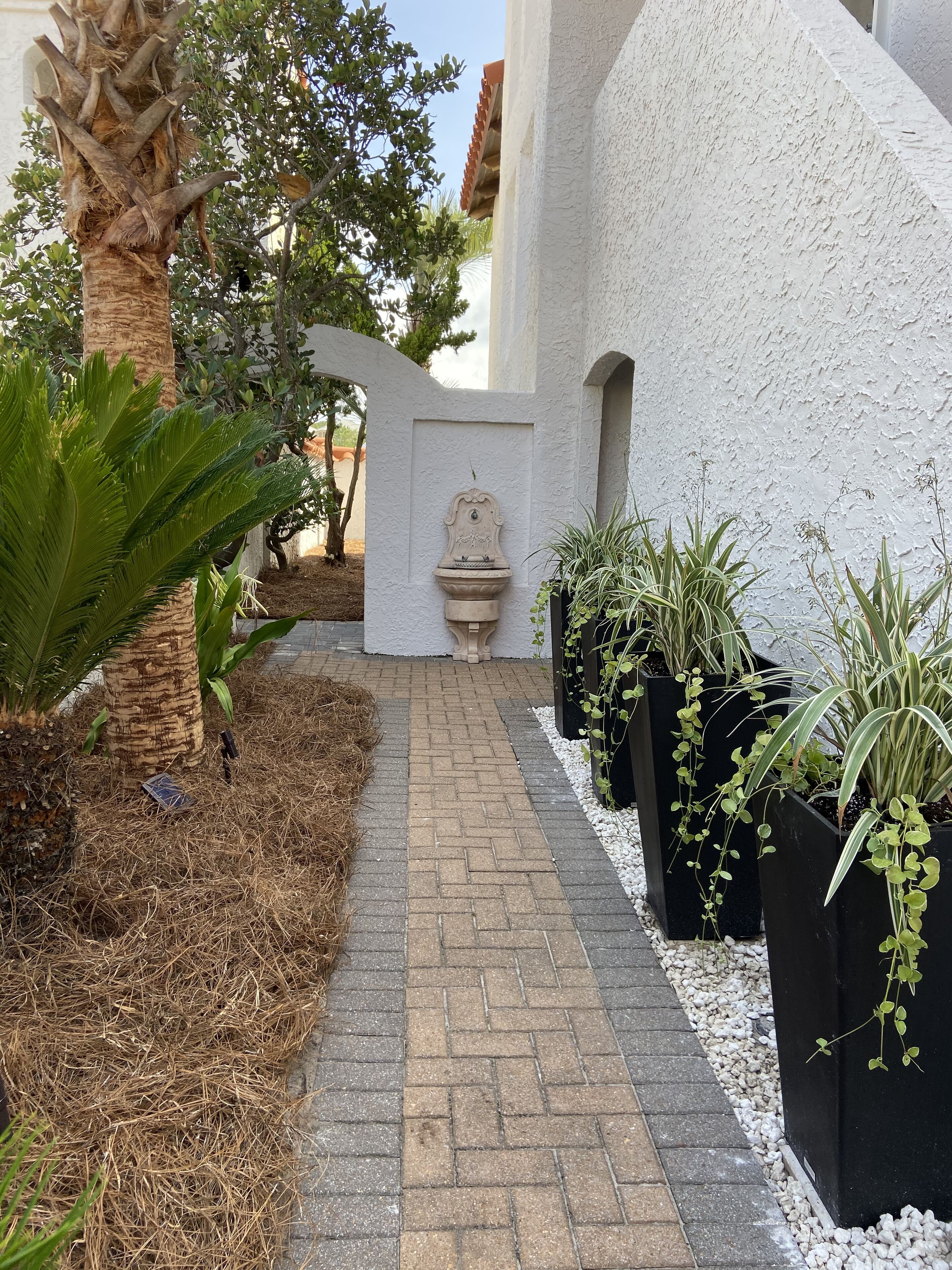 A paved pathway leading to a white building with a decorative fountain, surrounded by potted plants and a palm tree.