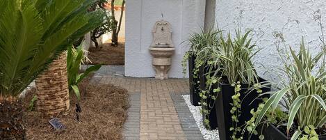 A paved pathway leading to a white building with a decorative fountain, surrounded by potted plants and a palm tree.