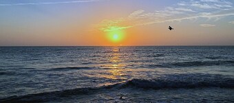 Avalon at Clearwater - Royal Marina - Minutes to Clearwater Beach