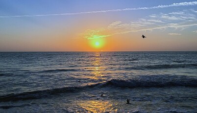 Avalon at Clearwater - Royal Marina - Minutes to Clearwater Beach