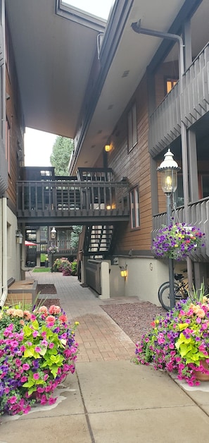 Un espacio exterior techado con una escalera de madera, plantas en macetas y una bicicleta.