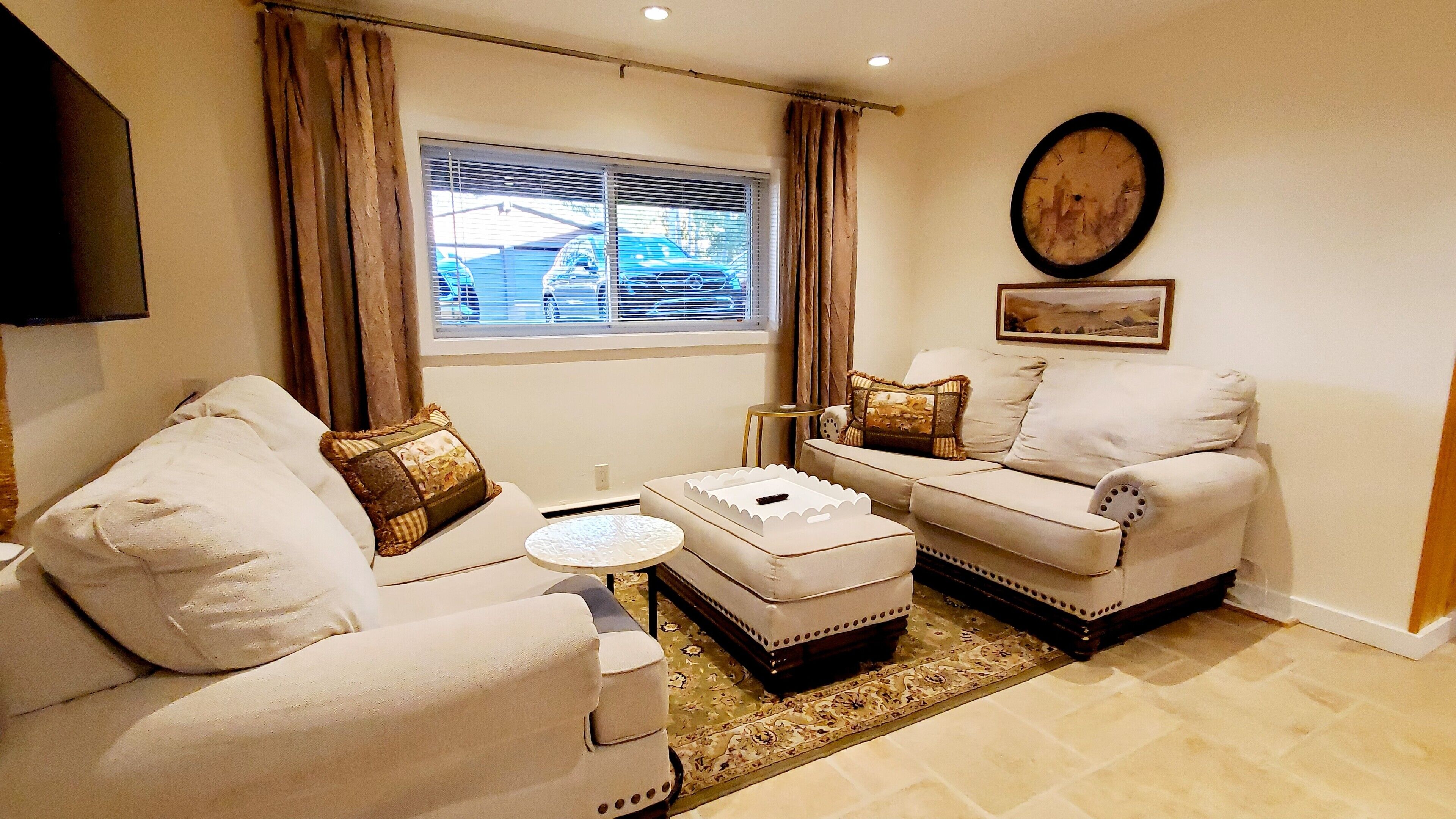 Smart TV, DVD player, books, video library