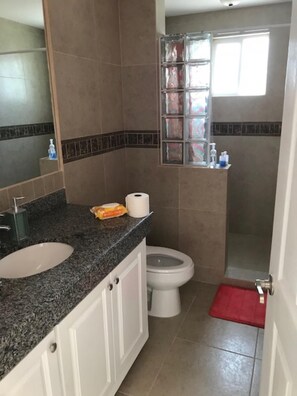 Hair dryer, towels