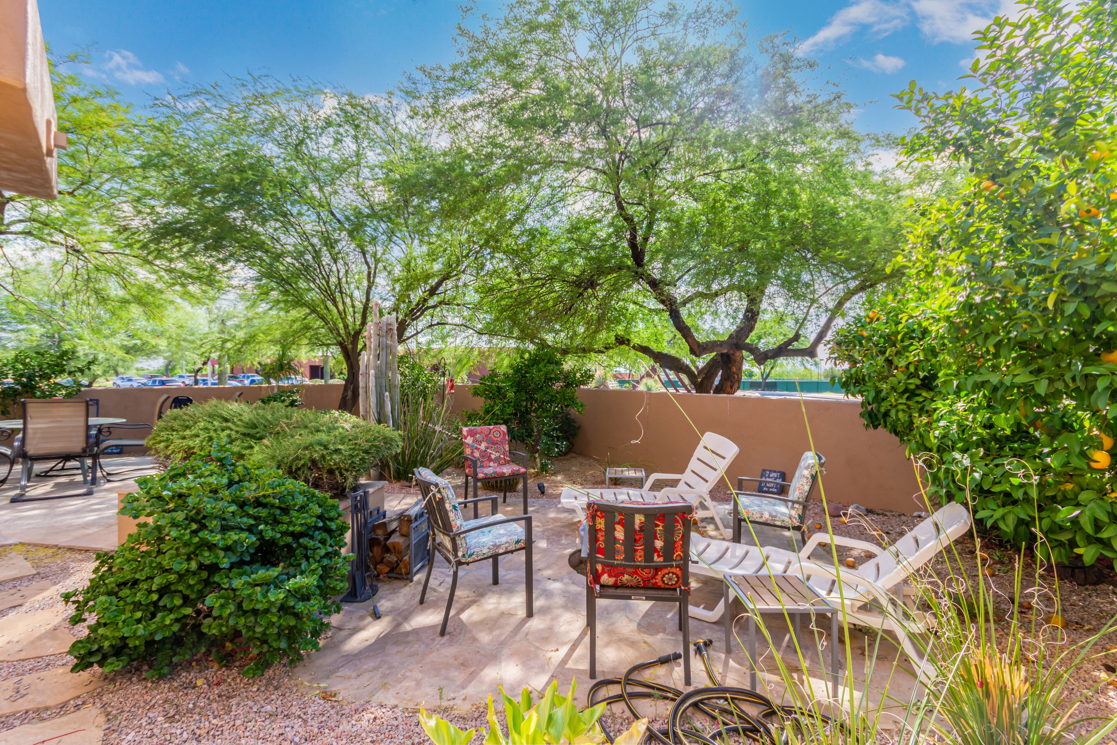 Backyard