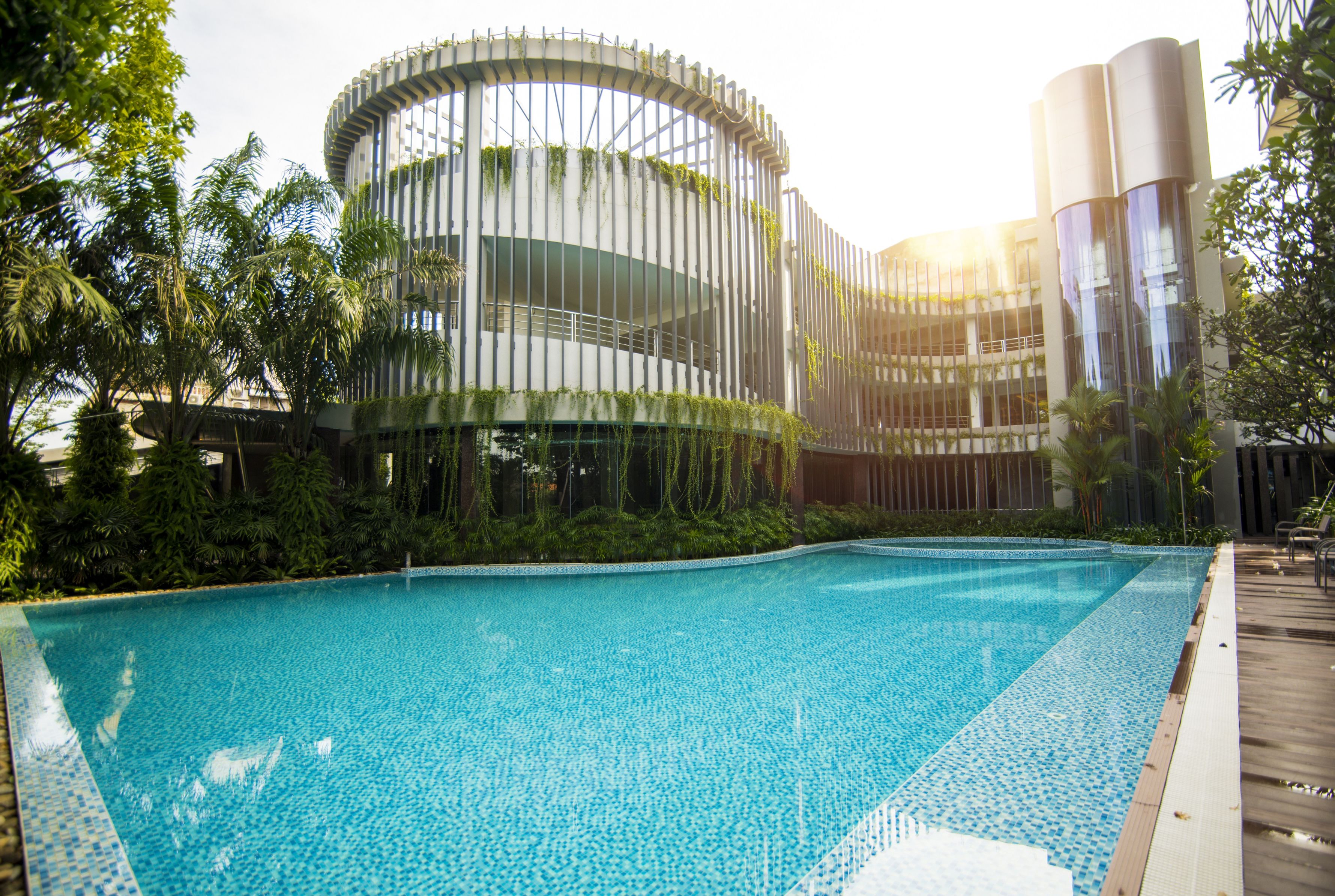 outdoor pool, pool umbrellas, pool loungers