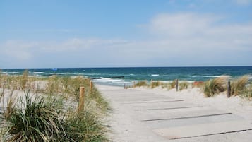 Playa en los alrededores
