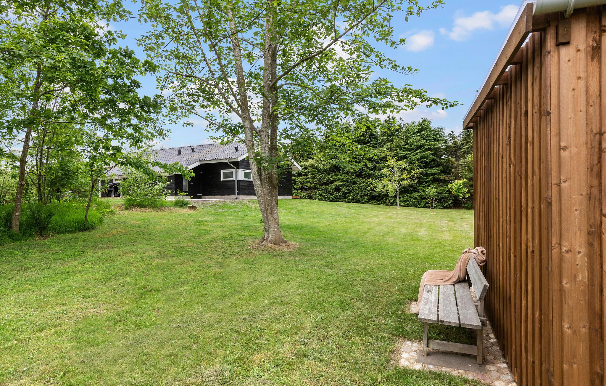 A backyard with a wooden bench, a tree, and a house with a dark exterior.