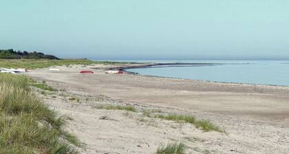 Pet friendly home in Grenaa with WiFi