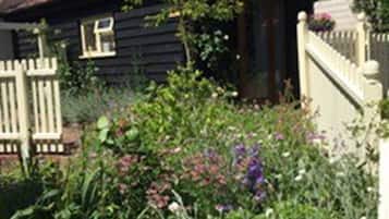 Kamar Double (The Cabin) | Pemandangan halaman