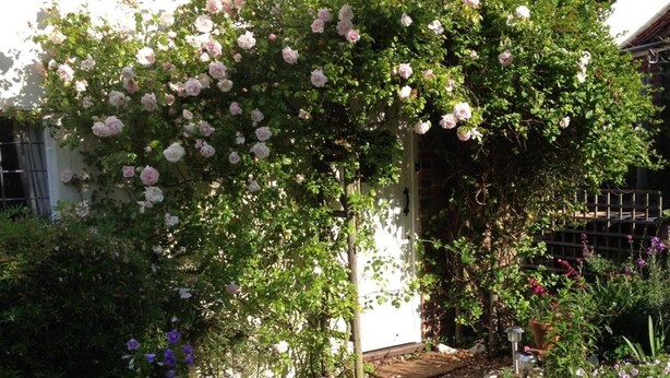 Un jardin agrémenté d’une tonnelle couverte de roses, devant un bâtiment blanc.
