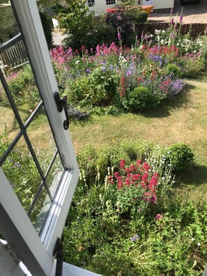 Property grounds - Mulleys Cottage B&B (Saxmundham)