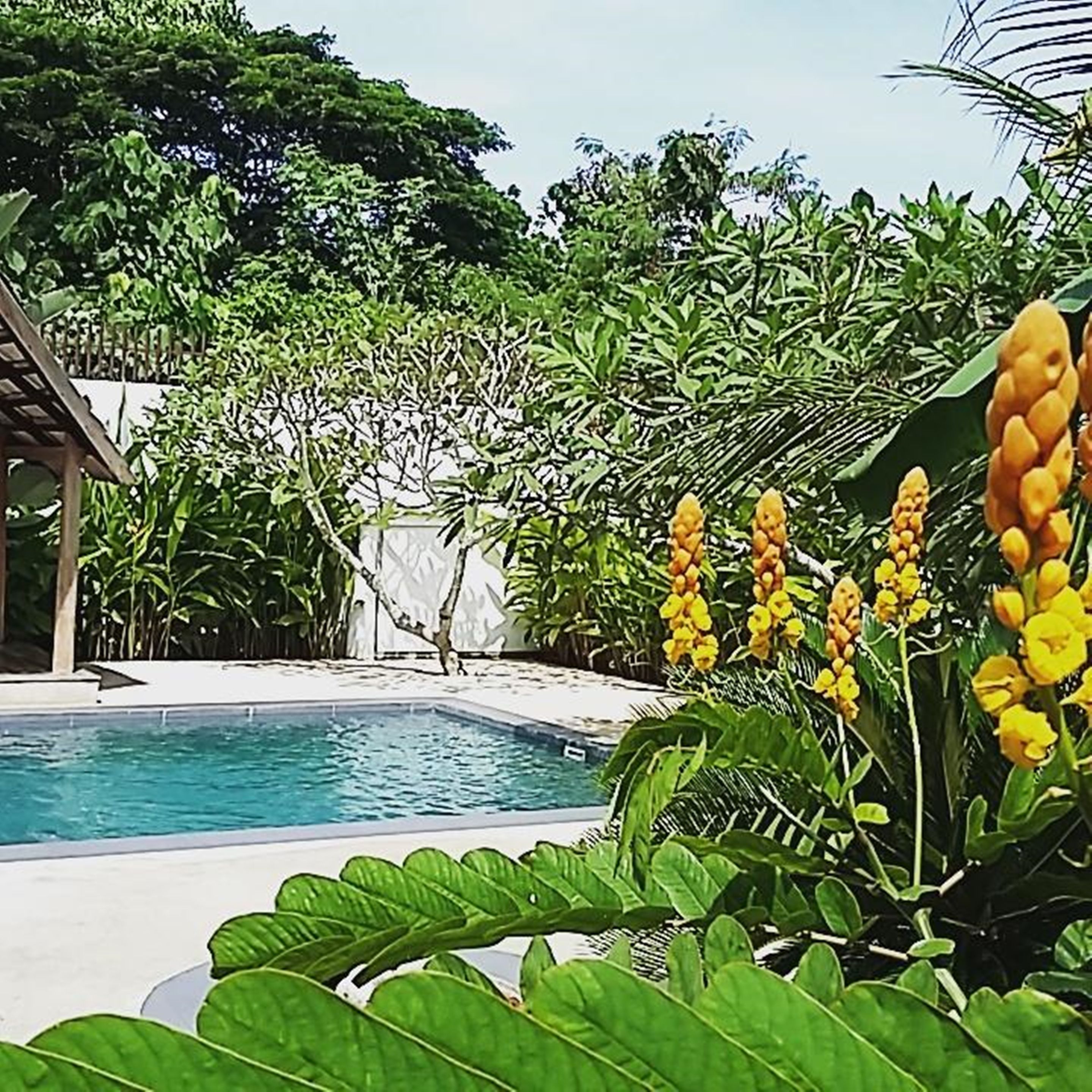 Outdoor pool, open 8 AM to midnight, pool loungers