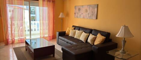 Televisión, chimenea, libros