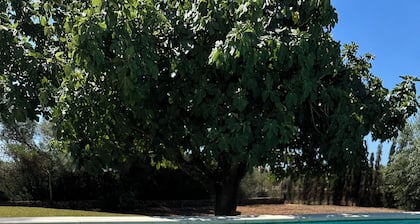 Finca-Villa Son Drach, großer Privatpool 12x4m, Wlan, BBQ, 2 km Strände