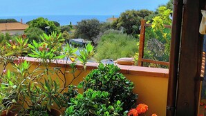 Eine Terrasse mit Pflanzkübeln und Blick auf das Meer.