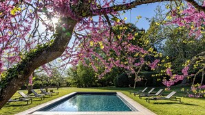 A rectangular pool with a surrounding grassy area and lounge chairs.