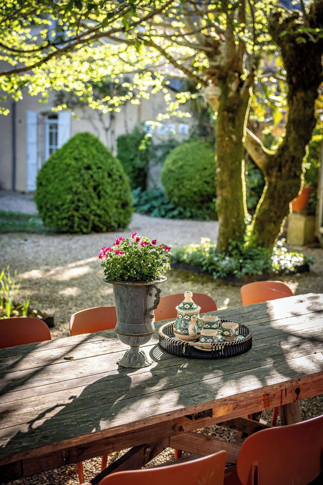 A wooden table with chairs, a potted plant, and a tray of dishes.