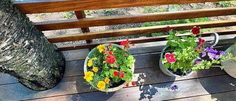 A wooden bench with two potted plants on it.