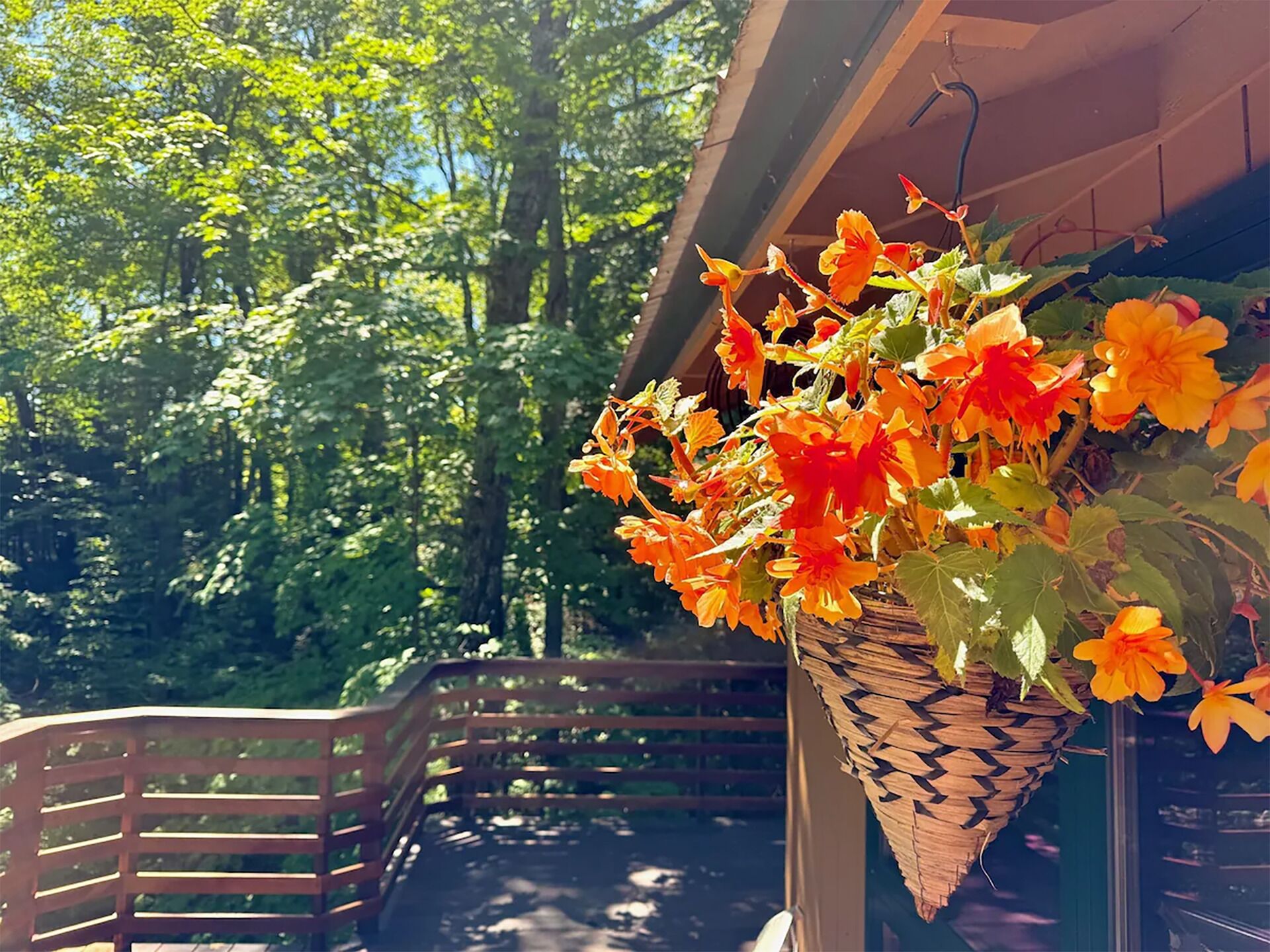 A hanging basket of orange flowers on a balcony with a wooden railing and a view of a forested area.