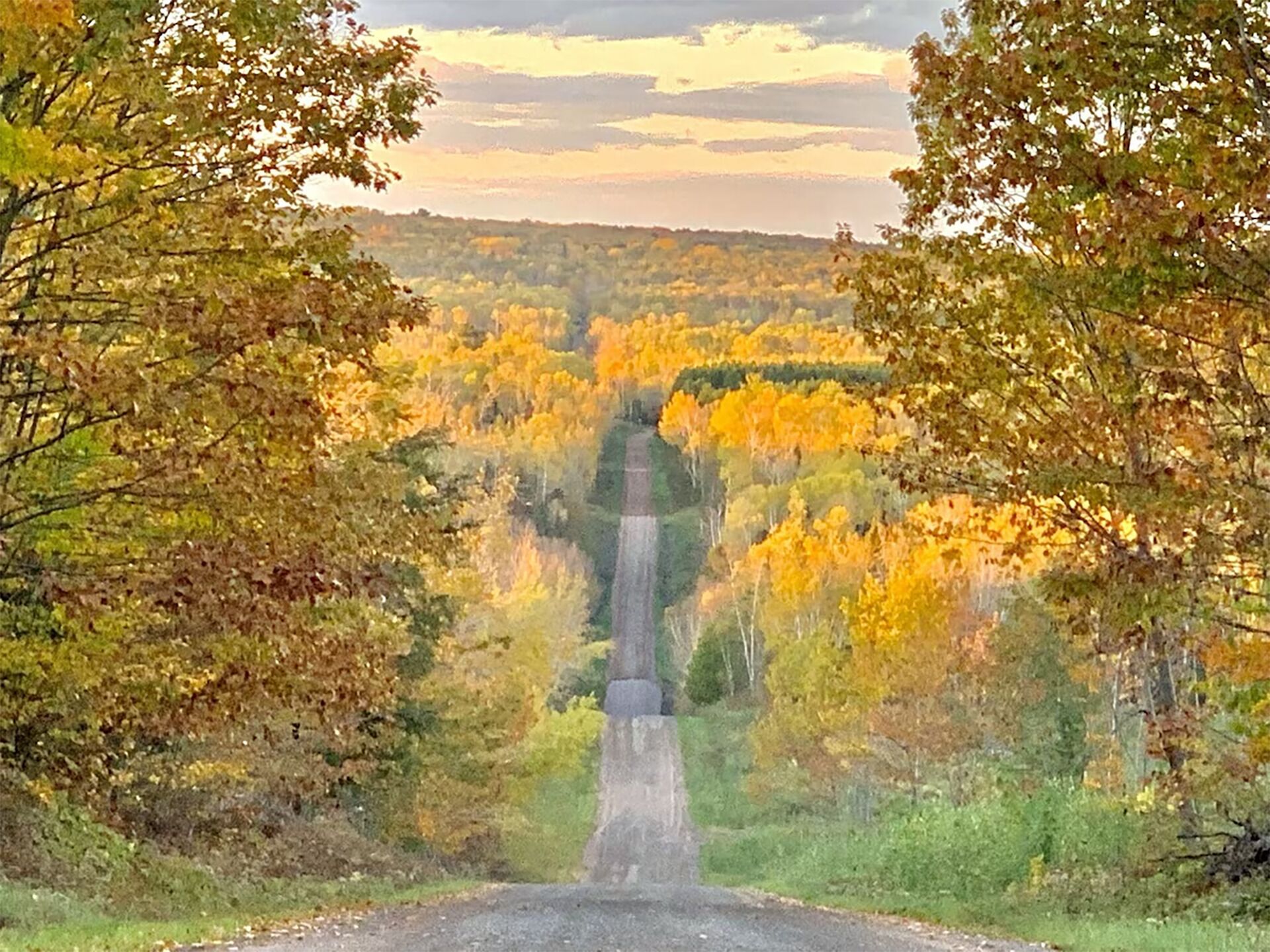A road leading through a forest with autumn foliage.