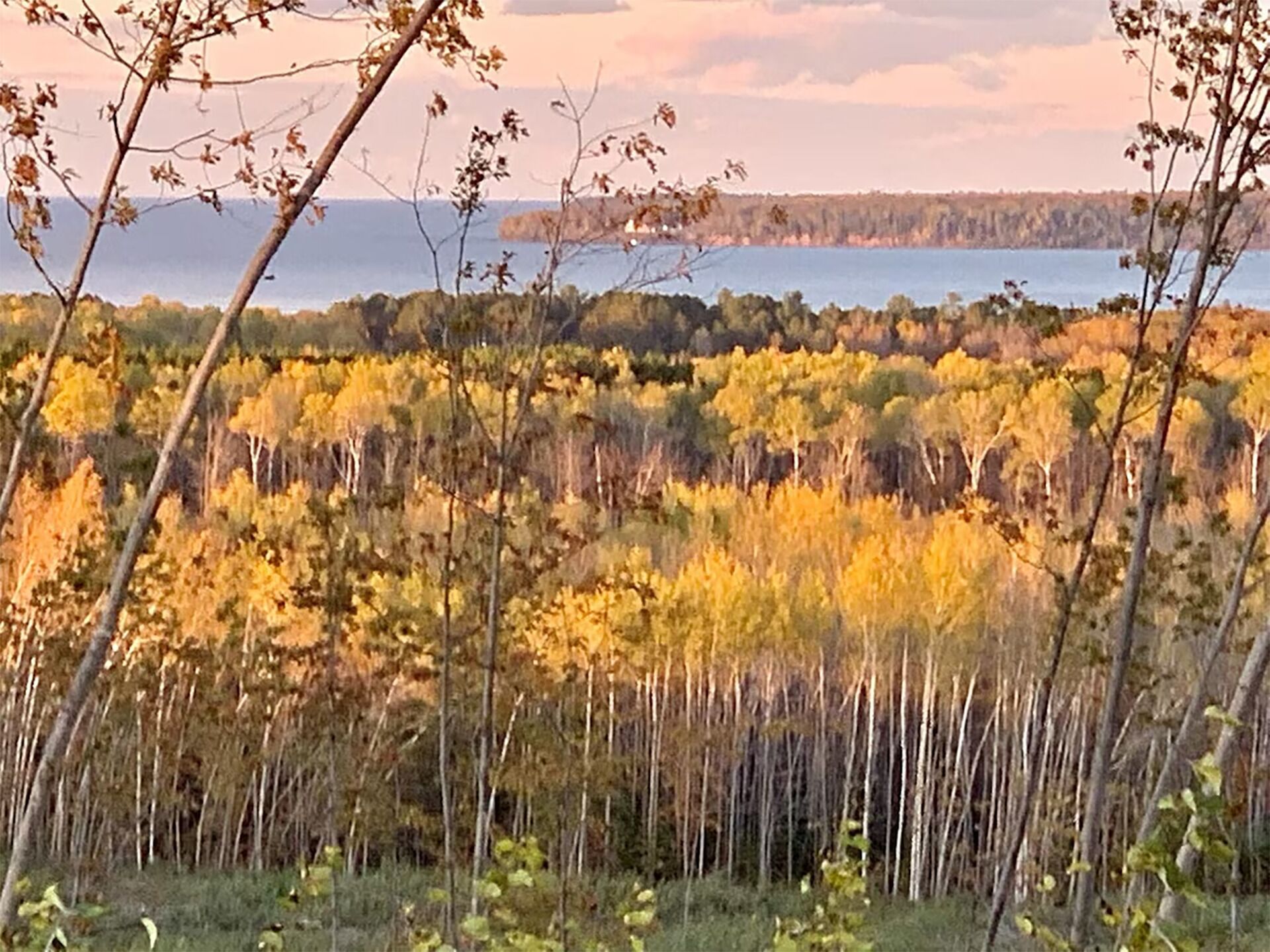 Un paysage naturel composé d’arbres et d’une étendue d’eau.