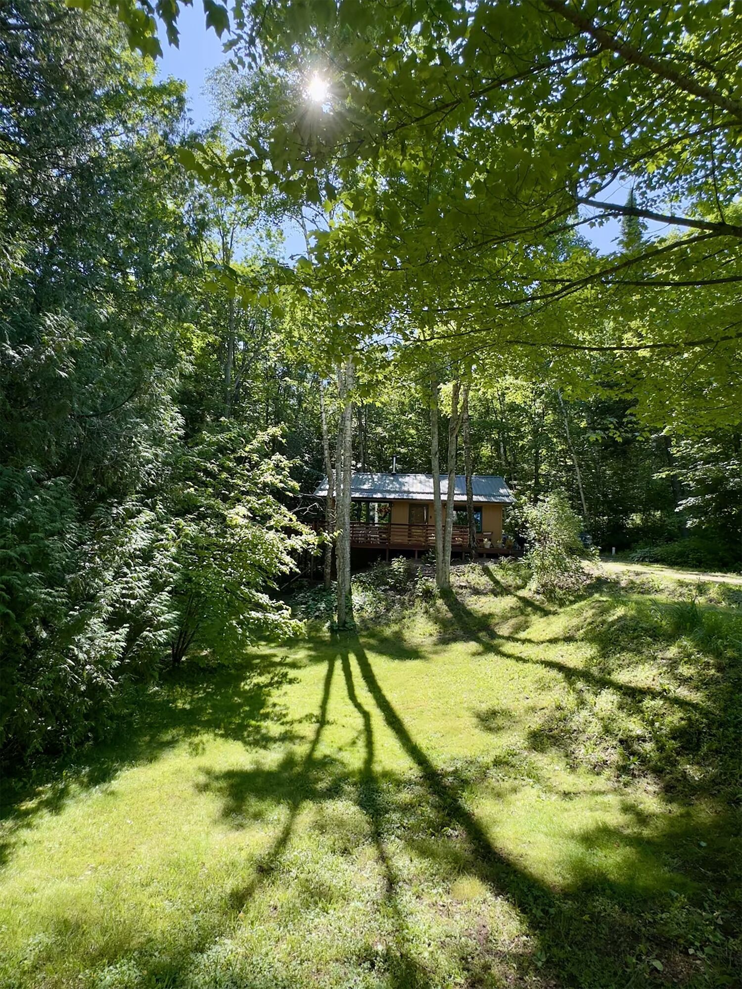 A cabin surrounded by dense forest with a clear sky.