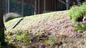 Una cabaña de madera con balcón y escaleras, rodeada de árboles.