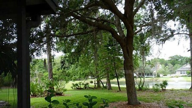 Un quartier résidentiel avec un grand arbre, une pelouse et une maison en arrière-plan.