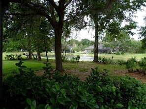 Property grounds - ONE BEDROOM NICE 1 AND 1/2 BATH WITH LARGE SCREEN PORCH (Wesley Chapel)