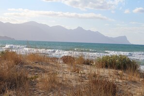 Plage, chaises longues, serviettes de plage