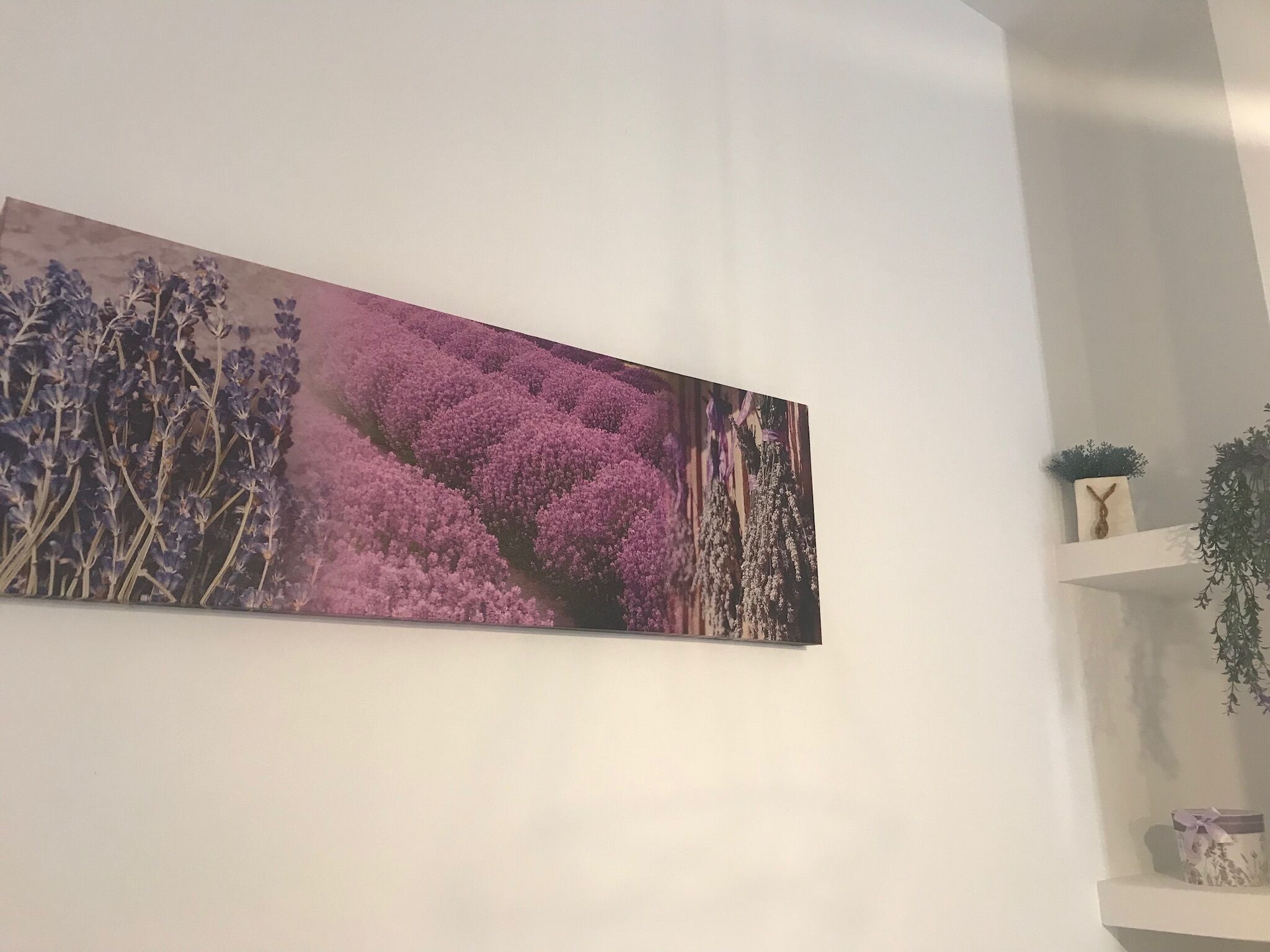 Un mur orné d’un grand tableau représentant des fleurs.