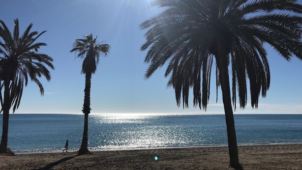 A beach with palm trees and a clear sky. -  Light and tranquility in the best location. Destiny Cathedral  (Málaga)