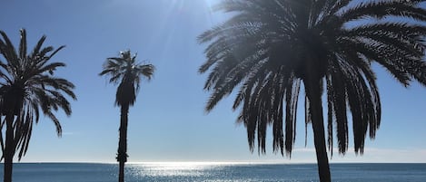 Nära stranden och strandhanddukar
