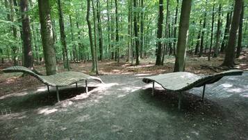 Enceinte de lâhĂ©bergement