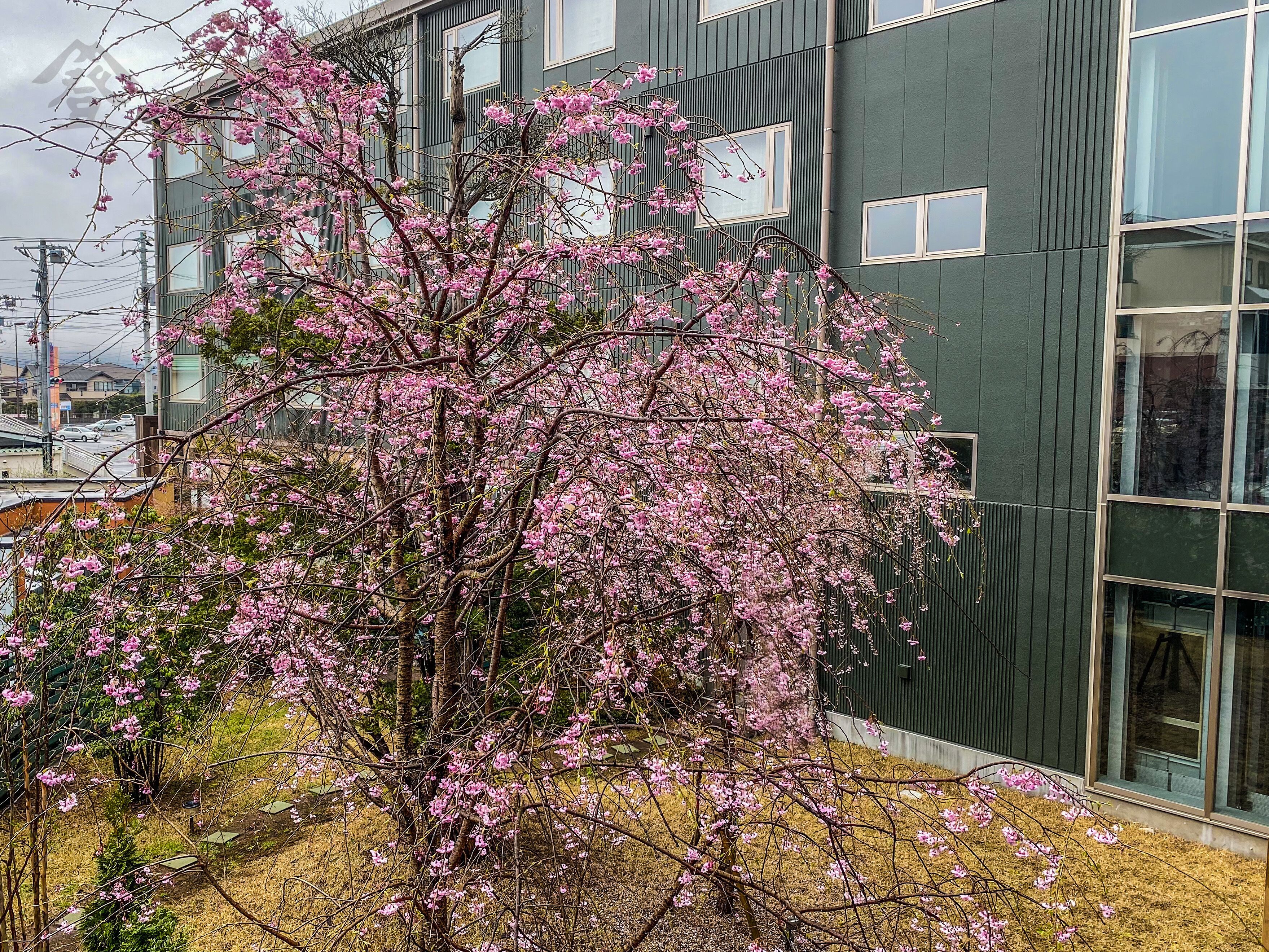 1 bedroom, down duvets, desk, blackout curtains