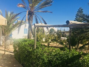 Terrain de l’hébergement 