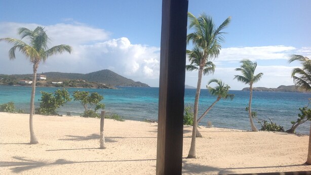 A beach with palm trees and a view of the sea. - Your Perfect Beachfront Condo in Paradise - Sapphire Beach - Corner Unit (St Thomas)