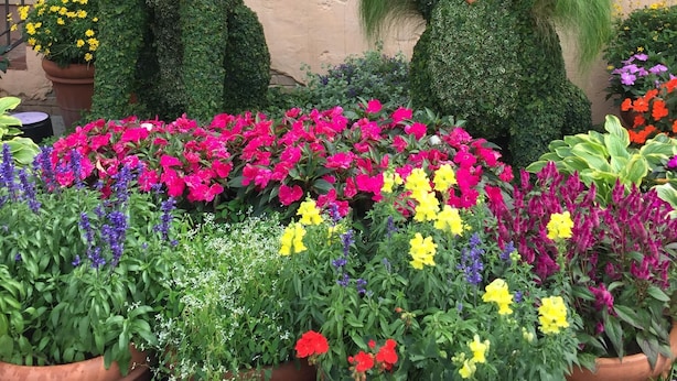Un jardin agrémenté de sculptures végétales représentant des animaux et de fleurs aux couleurs vives.