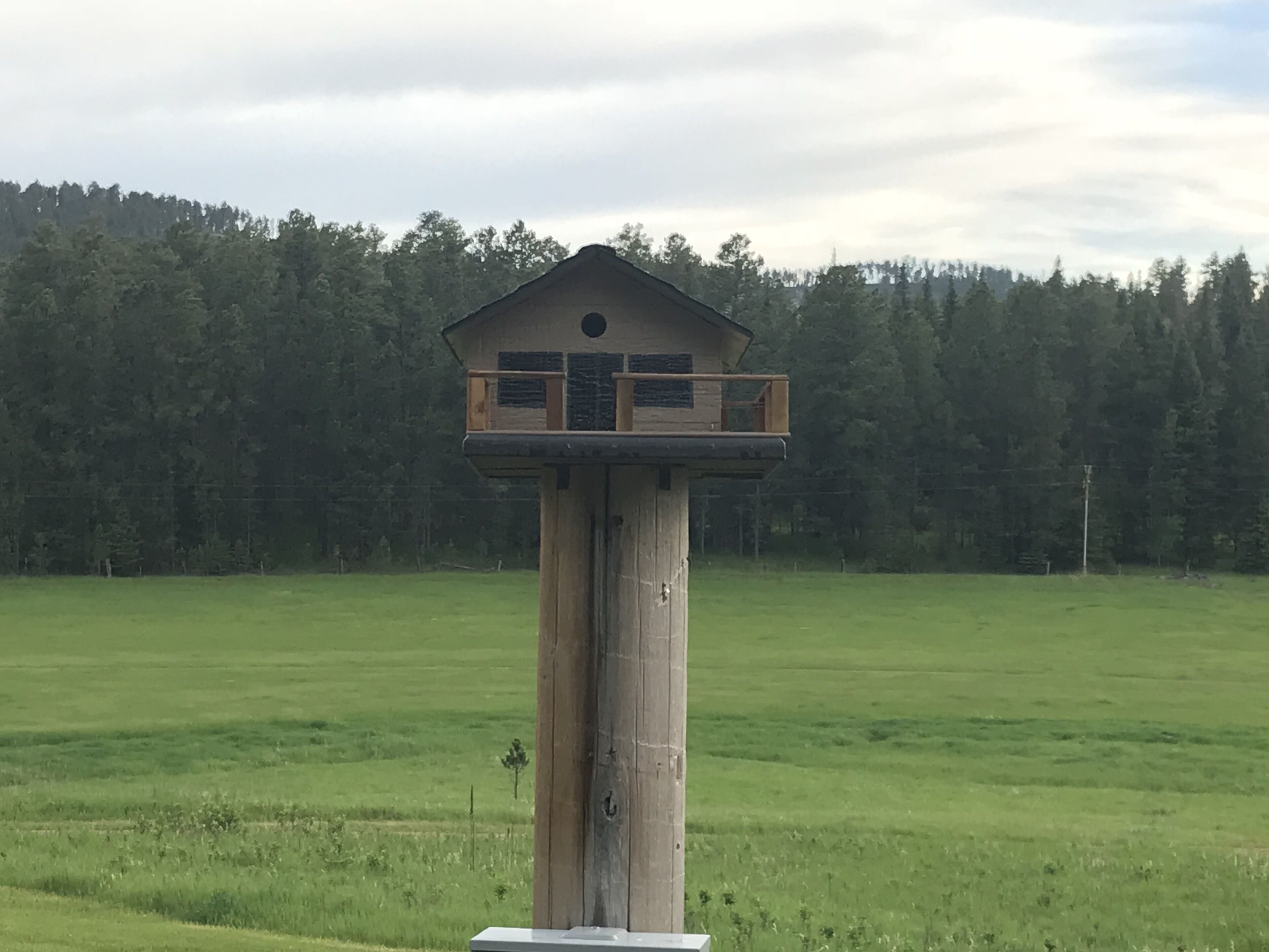 A wooden birdhouse structure with a balcony, set in a grassy field with a forest in the background.