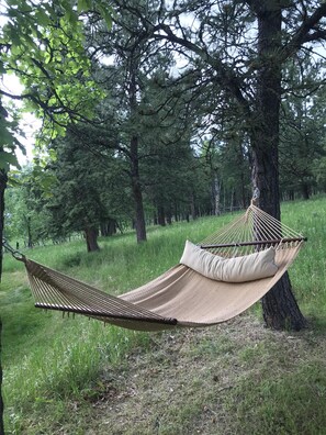Property grounds - Peaceful, Private, Quiet And Luxurious Cabin On 15 Acres Surrounded by Forest (Nemo)