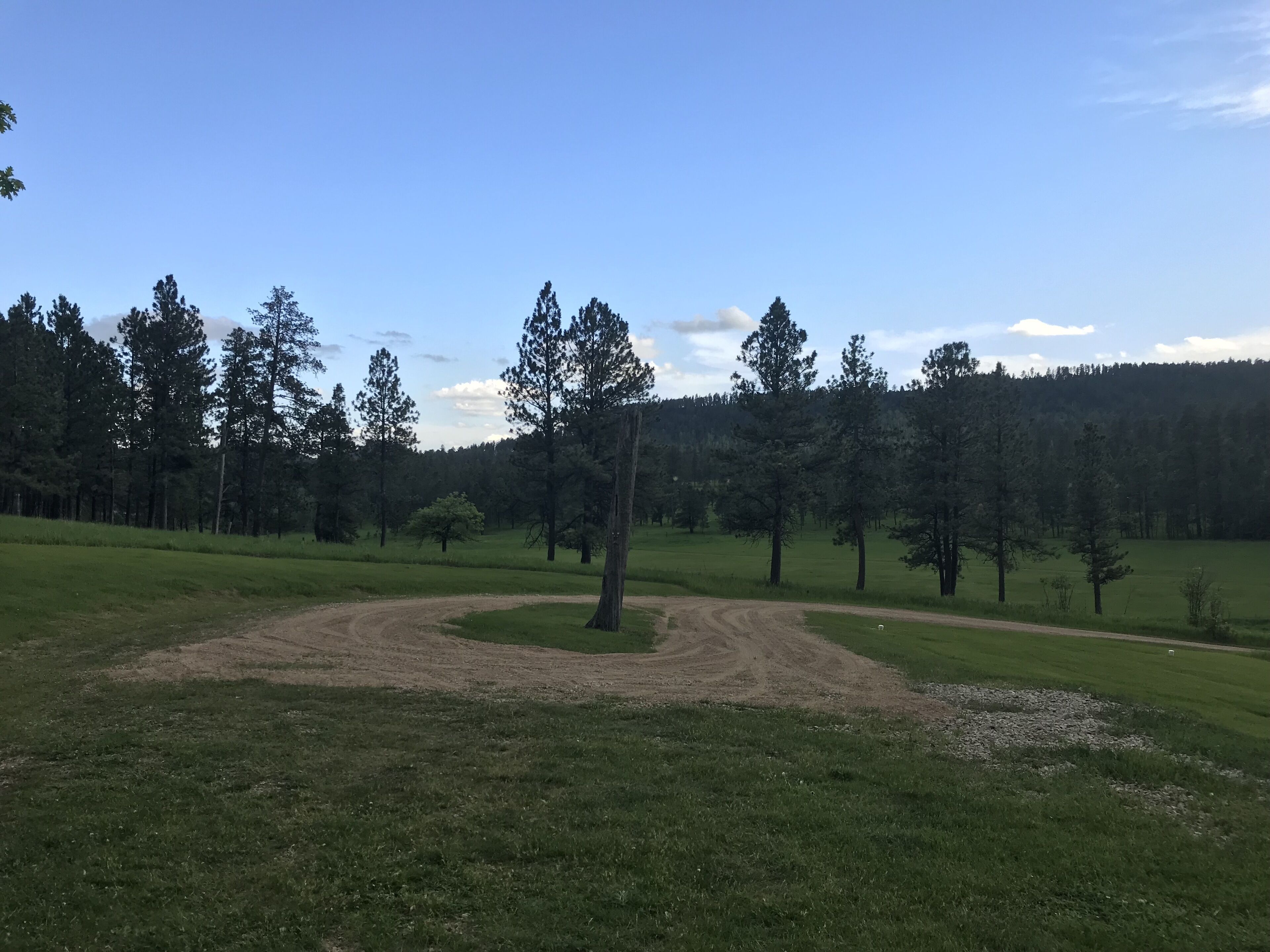 A rural landscape with a dirt path, green grass, and a line of trees.