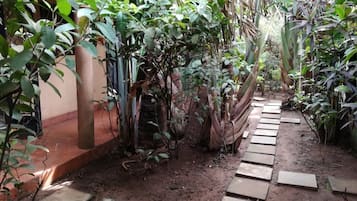 Jardín