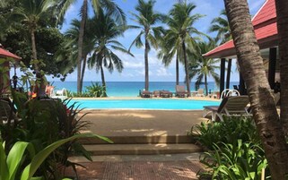 Vista a la piscina con palmeras, sillas de descanso y una vista despejada del océano.