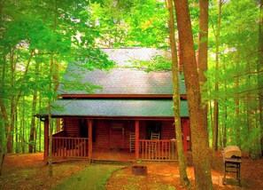 Exterior - Private Views Woodsy Romantic Log Cabin Hot Tub Jacuzzi Video Games Nirvanahhh (Sevierville)